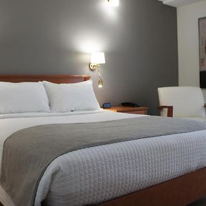 Room Queen-Size bed wooden floor
